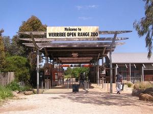 This year’s Home Town Tourists drive saw us heading back to the wonderful Werribee Zoo.